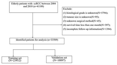 A Web-Based Prediction Model for Cancer-Specific Survival of Elderly Patients With Clear Cell Renal Cell Carcinoma: A Population-Based Study